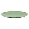 Flat plate CLUB PLATE 260
